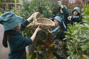 Meadowbank Primary School